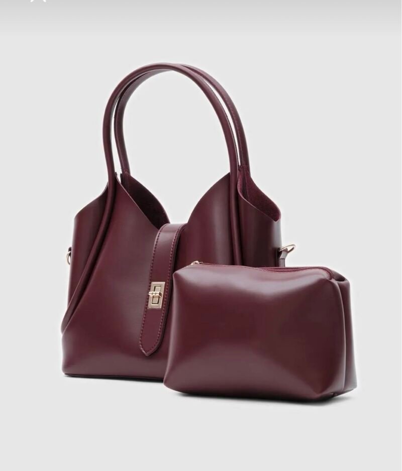 Cindy Burgundy Bag + Purse