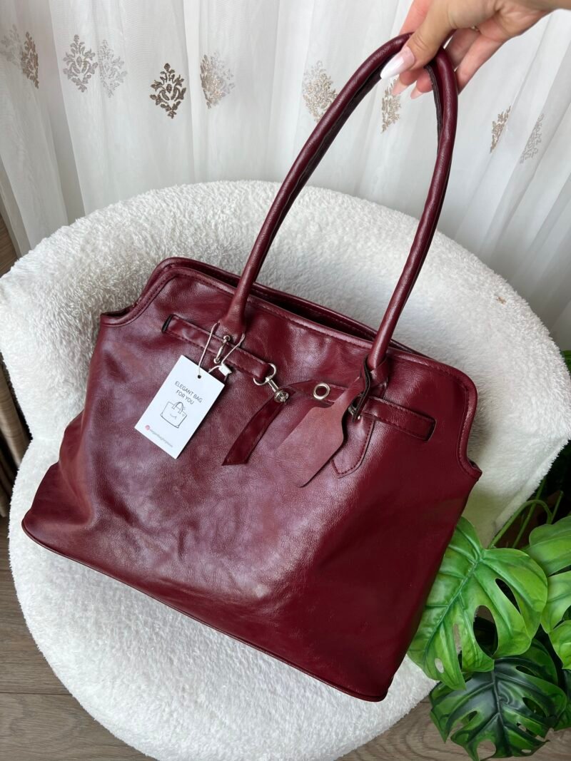 Etro Burgundy Bag