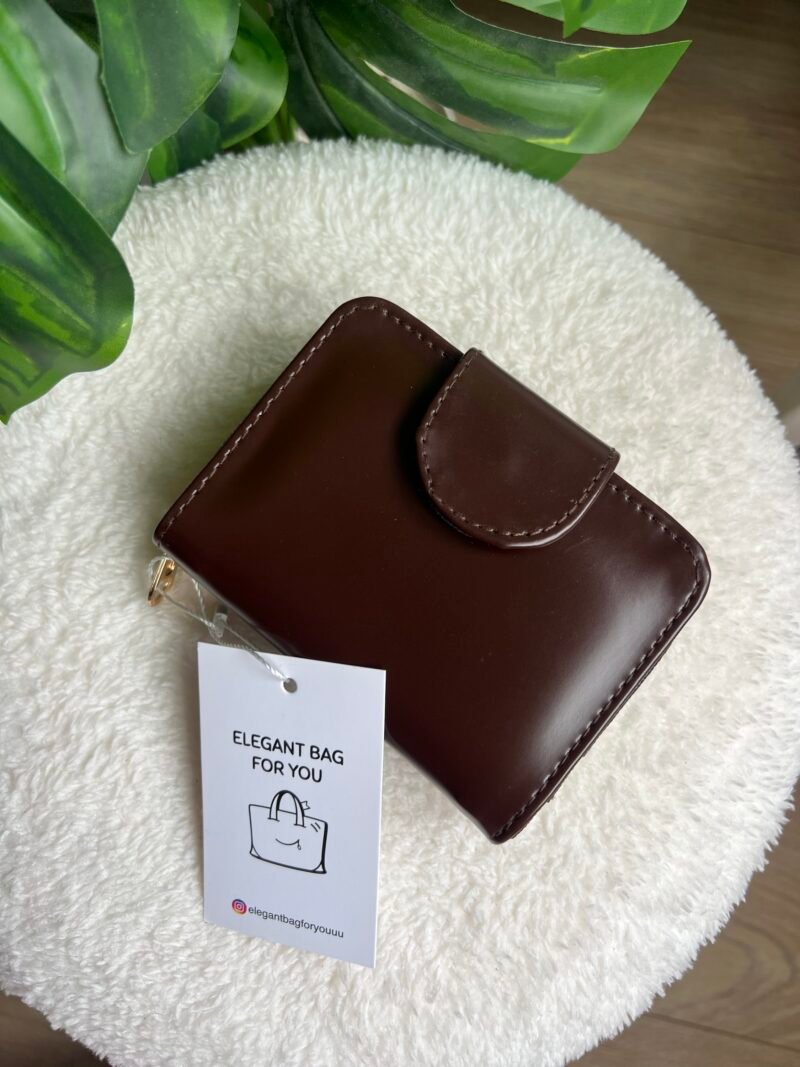 img_5249 Pika Brown Wallet