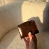 Pika Brown Wallet