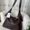 img_3799 Ivone Brown Bag + Charm